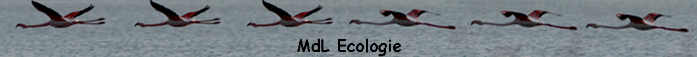 MdL Ecologie