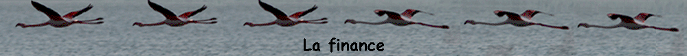 La finance