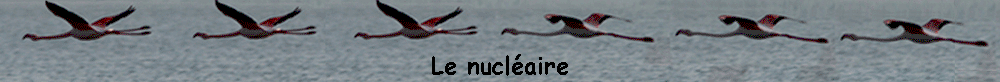 Le nucléaire